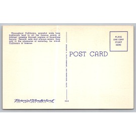 Picturesque Highway Scene Mountains c1950s Santa Cruz Los Gatos Postcard