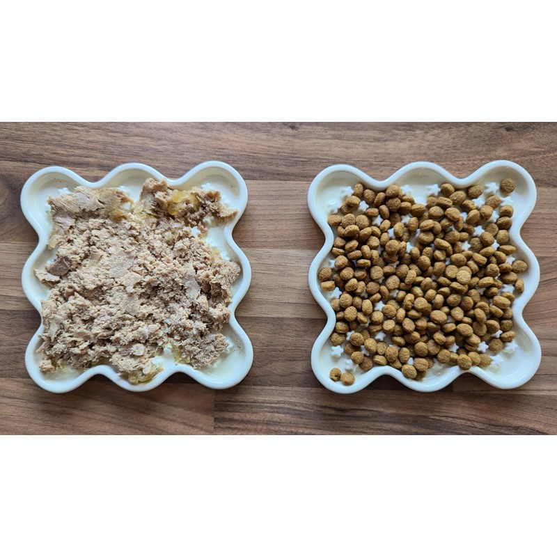 Fussy Cat Ceramic 'Lick Mat' Cat Slow Puzzle Feeder Bowl.