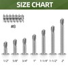 #8 x 1/2" (100 PCS) White Head Sheet Metal Screws,
