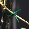 WILLBOND 200 Pieces Adjustable Plant Ties Flexible Garden Plant Ties,