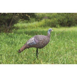 M.A.D MD-700 Shady Baby Upright