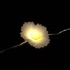 NOMA Solar Fine Wire Lights, 50 Warm White Daisy LED's