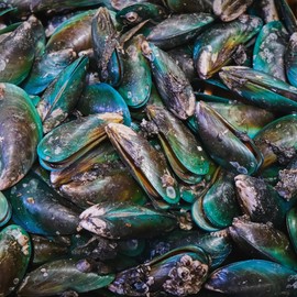 100% Natural Green Lipped Mussel for Dogs & Cats | Rich in Vitamins, Minerals, Omega-3 Fatty Acids | Anti-inflammatory, Helps Joints & Mobility, Skin and Immune System | 100g