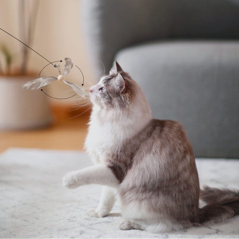 FUKUMARU Cat Toy Replacement Bell and Feather Set
