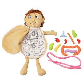 Human Body Anatomy Toy Human Body Organ Doll Model Anatomy Doll Preschool Educational Organ Plush Toys for Kids