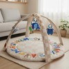 Baby Play Gym & Activity Mat with Light-up Musical Arch,
