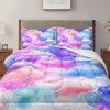 Nttopship Pink Clouds Comforter Set Queen Size for Boys Girls