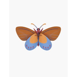 studio ROOF, Wall Art Butterfly, Ochre Costa Butterfly, Eco-Friendly & Creative Gift