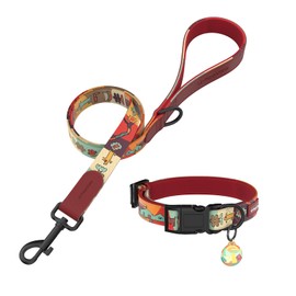 Pawview Small Dog Collar and Leash Set with Smart ID Tag – Adjustable Collar for Small, Medium, and Large Dogs (M, Sunrise, 33–51 cm)