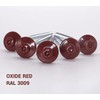 SKIR'CO (15 pcs) Painted 5.0 x 100 mm Wood Screws