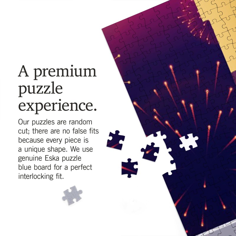 Lantern Press Champagne is Always The Answer, Champagne and Fireworks