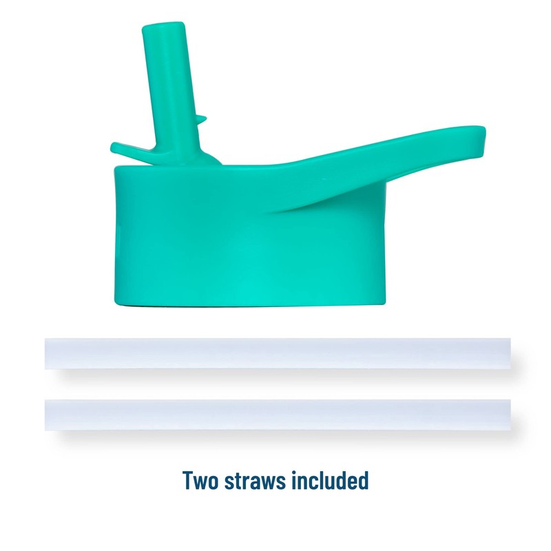 Jurassic Dinosaurs Botella de acero de 14 onzas