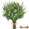 48 PCS Mixed Artificial Eucalyptus Stems Bulk with Hemp Rope
