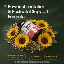 NatureBell Sunflower Lecithin - 240 Softgels - 2,400mg Cold Pressed Sunflower Lecithin - with Naturally Occurring Phosphatidyl Choline - for Lactation & Normal Milk Flow Support*