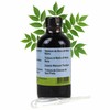 Black Walnut Tincture 120 ml Extra Strong to Dr Hulda