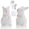 Ceramic Toilet Bowl Bolt Caps Covers, Rabbit Design (2-Pack) -