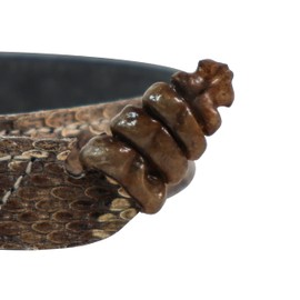 5/8" (0.625") Real Prairie Rattlesnake Hat Band with Rattle