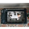 Pack n Play Stretchy Fitted Pack n Play Playard Sheet