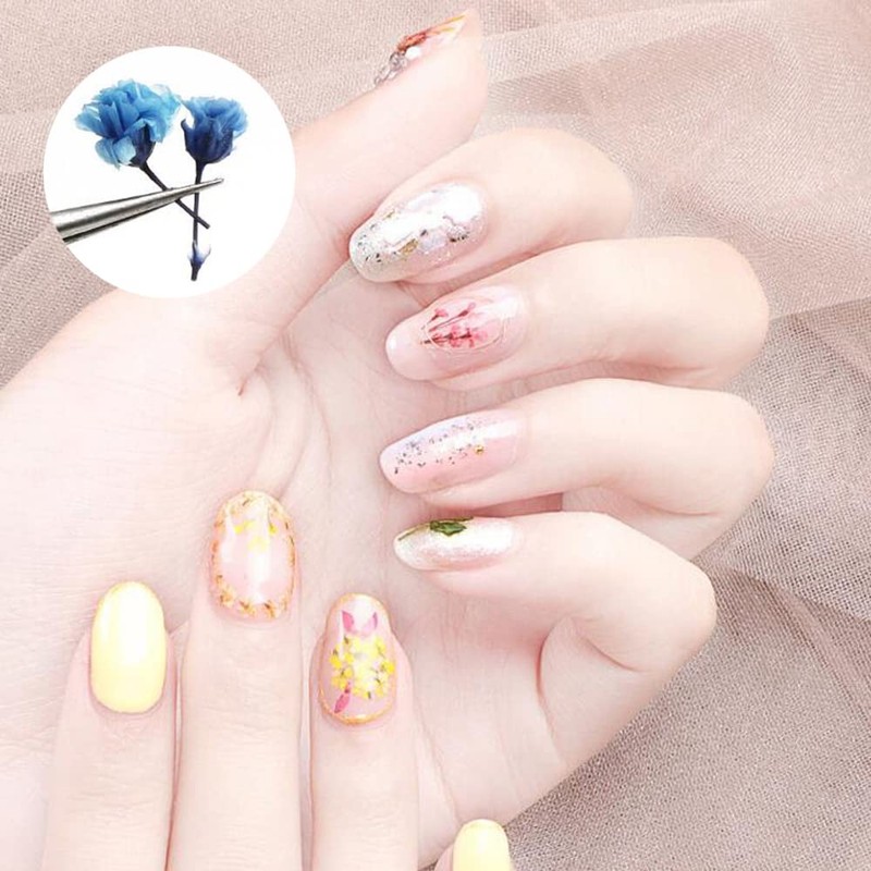 YFFSFDC Nail Pressed Flowers Dried Flowers for Nail Art Resin