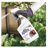 Captain Jack's Rose Rx 4-in-1 RTU 32oz Fungicide Insecticide Miticide
