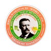 ValxArt Theodore Roosevelt 26th President Pin-Button (2.25")