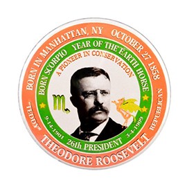 ValxArt Theodore Roosevelt 26th President Pin-Button (2.25")