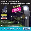 GOTO Solar LED Approach Light, Motion Sensor, Security Prevention, Garden
