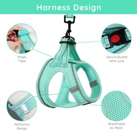 BELLA & PAL Step in Vest Harness for Small and Medium Dogs, No Pull Small Dog Harness with Leash Set, Comfortable Air Mesh Dog Vest Harness with Reflective Strip (Light Green, XXS)