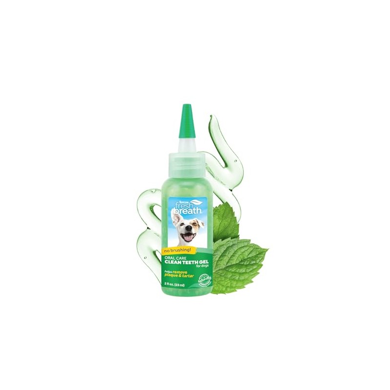 Fresh Breath Clean Teeth Oral Care Gel, 2oz