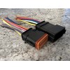 Deutsch E008 Assembled Deutsch 12 Pin waterproof connector 6" wire
