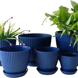 Plant Planters with Drainage Holes and Trays Pack of 6 Plant Pots 7.5/6.5/5.5/4.9/4.2/3.5 Inches Flowers Pots, Green - Color: Blue
