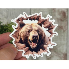 Bear 3D Effect Sticker - Easy-to-Apply Cute Stickers - Kids Stickers - Laptop Stickers - Skirting - Stairs - 3D Wall Art - Nursery Decor - Water Bottle - Animal Stickers (14cm x 14cm (5.5" x 5.5"))
