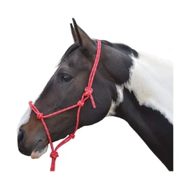 Hy Rope Halter Navy Cob/Full