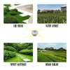 Aluminium Alloy Grass Trimmer Head, Universal Grass Trimmer Head, Trimmer