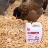 Strong Animals Coop Recuperate Cherry Blossom - New, Limited-Edition Scent