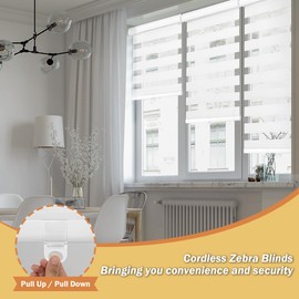 OUDUCK Cordless Zebra Blinds for Windows, 64" W x 72" H Zebra Roller Shades with Valance Free Stop Zebra Blinds Roller Shades, Light Control Window Treatments Dual Layer Sheer Blinds for Day and Night