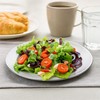 ZAVOOS 24 Pack Stainless Steel Dinner Plates, 8 Inch Metal