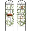Metal Trellis for Climbing Plants Outdoor, 70 * 19.7 Inch