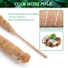 Tallkeey 80cm Moss Pole for Plants - Bendable Plant Supports