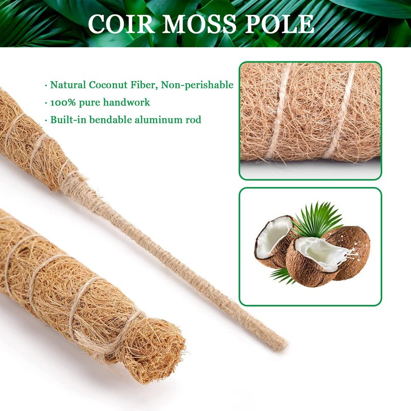 Tallkeey 80cm Moss Pole for Plants - Bendable Plant Supports