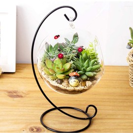 Kit de terrario de plantas de aire con soporte, jarrón de vidrio colgante, globo de terrario con soporte de exhibición de metal para plantas de aire, plantas suculentas, plantas pequeñas