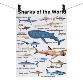 Sharks Of The World Kitchen Towel Sharks Tea Towel For Sharks Lover Killer Sharks Gift Ocean Animal Lover Dish Towel (Sharks TOWEL 2U)