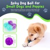 Petite Paws Spiky Dog Ball 1.8 Inch Squeaky Toy for
