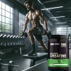 OPTIMUM ON Creatine Powder 100% PURE - 634g - 186