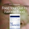 Essential Stacks L-Glutamina Intestinal - 300 g - Sin Gluten,