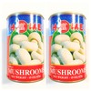 HMei Whole Mushrooms 15 Oz(2 Pack)