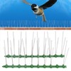 12Pcs Stainless Steel Bird Deterrent Spikes 25cm Anti Cat Crawling