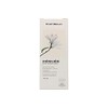 Montibello Dénuée Without Amononia, 8.13 (Light Blonde Ash), Standard