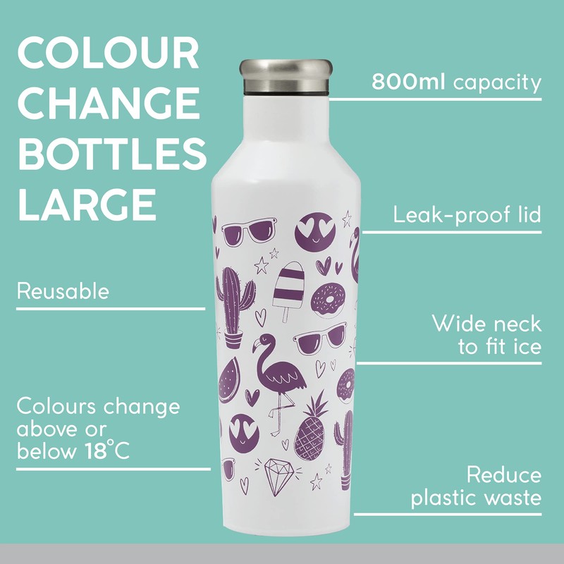 Typhoon Pure 800 ML Colour Changing Steel Water Bottle with