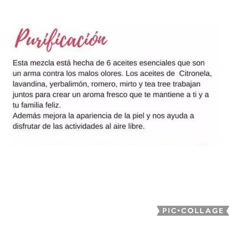 Young Living Kit De Aceites Esenciales Thieves+ Purificación Young Living